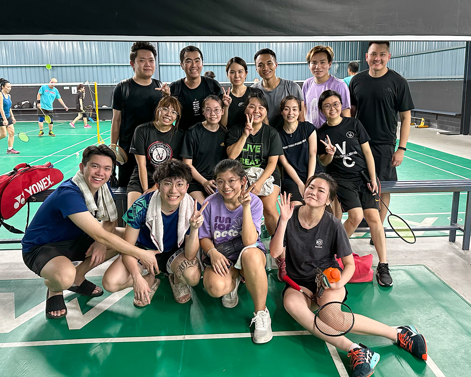 Wellous Badminton